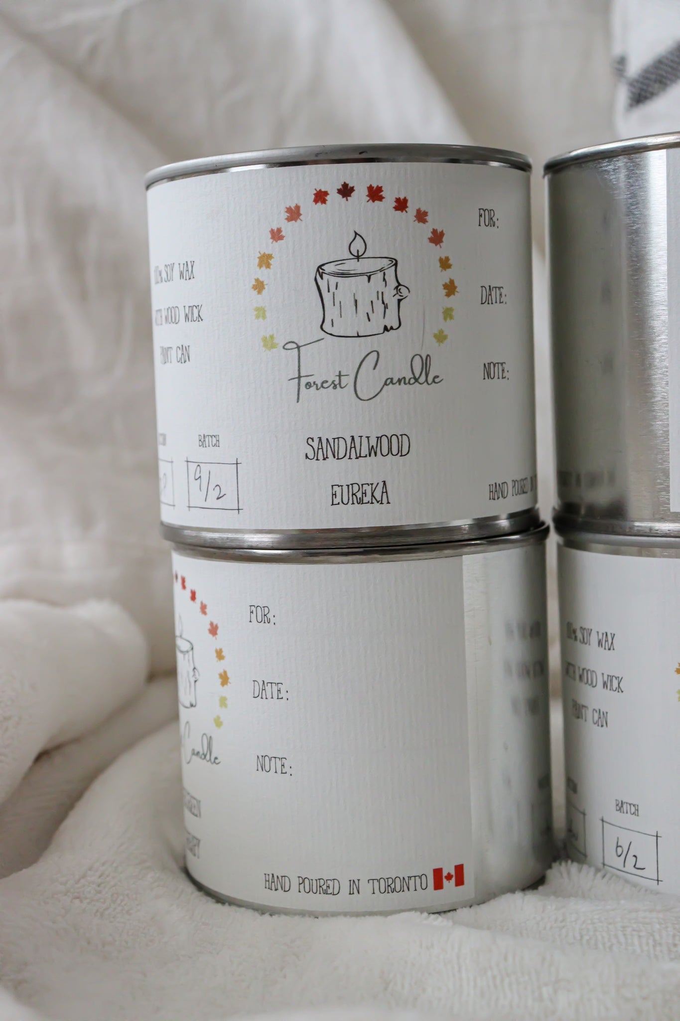 Eureka Discovery Set of 4 Candles Forest Candle